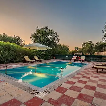 Olive Tree * Ieromonachos