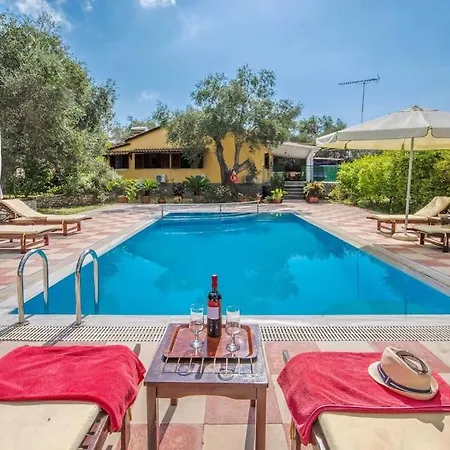 Olive Tree * Ieromonachos