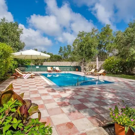 Olive Tree * Ieromonachos