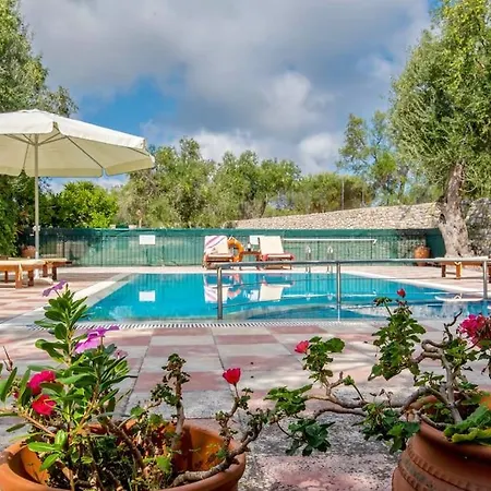 Villa Olive Tree *