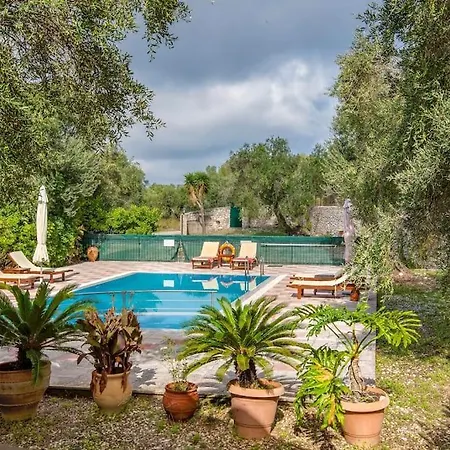 Olive Tree Villa