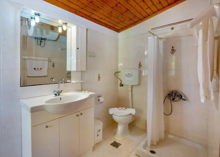 Villa Olive Tree