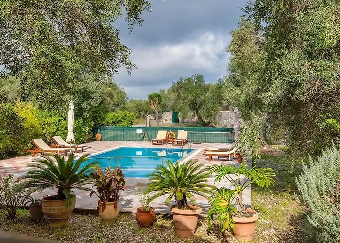 Olive Tree Villa